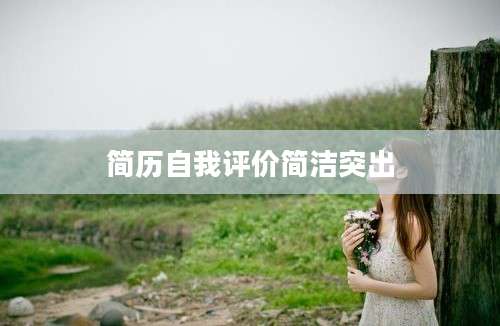 简历自我评价简洁突出