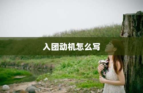 入团动机怎么写