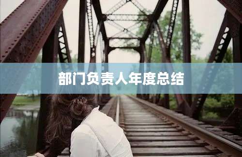 部门负责人年度总结
