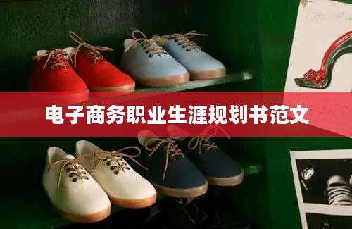 电子商务职业生涯规划书范文