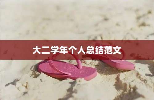大二学年个人总结范文
