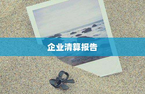 企业清算报告