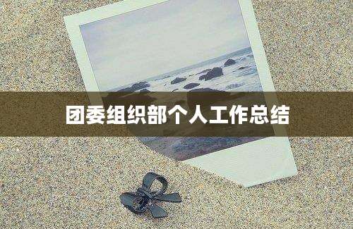 团委组织部个人工作总结