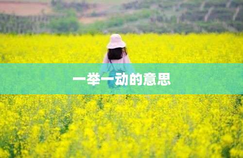 一举一动的意思