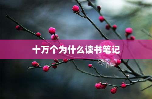 十万个为什么读书笔记