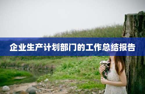 企业生产计划部门的工作总结报告