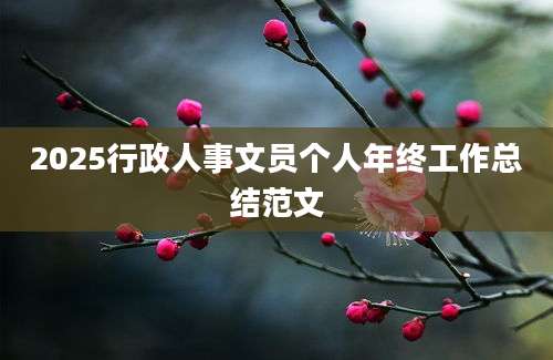 2025行政人事文员个人年终工作总结范文