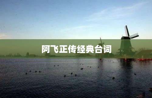 阿飞正传经典台词