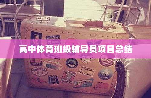 高中体育班级辅导员项目总结