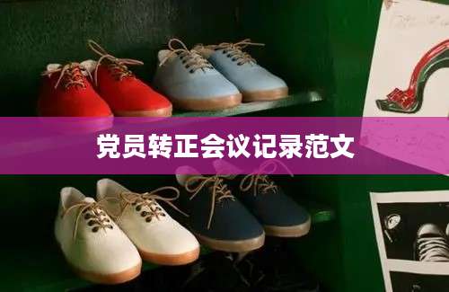 党员转正会议记录范文