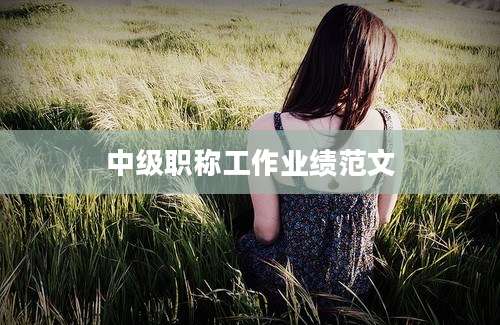 中级职称工作业绩范文