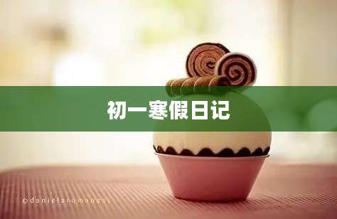 初一寒假日记