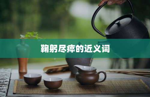 鞠躬尽瘁的近义词