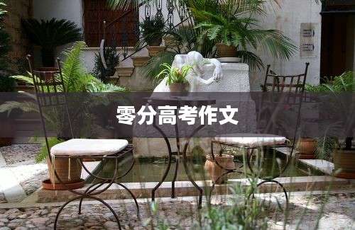零分高考作文