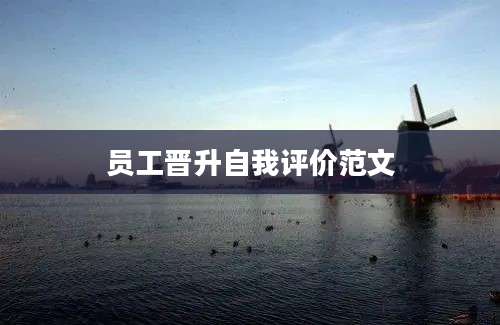 员工晋升自我评价范文