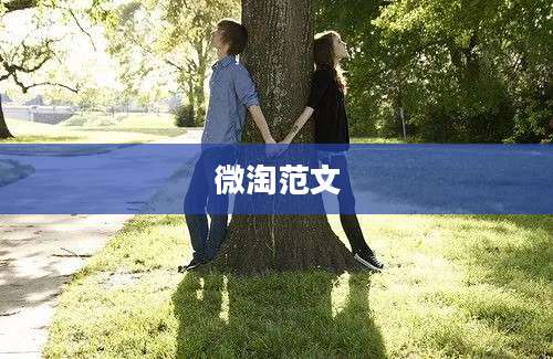微淘范文