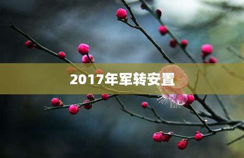2017年军转安置