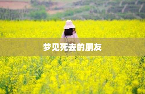 梦见死去的朋友