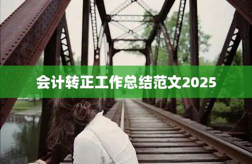 会计转正工作总结范文2025