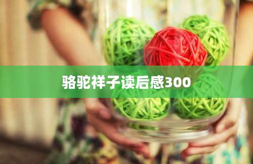 骆驼祥子读后感300