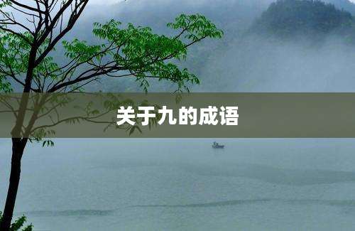 关于九的成语