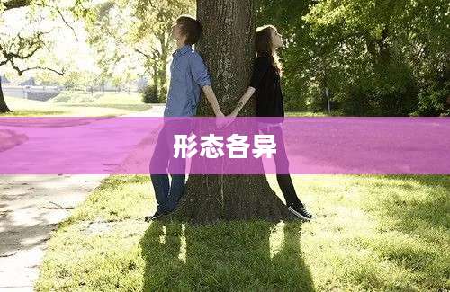 形态各异