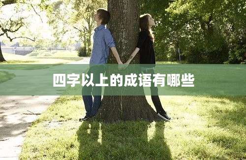 四字以上的成语有哪些