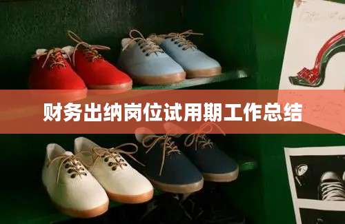 财务出纳岗位试用期工作总结