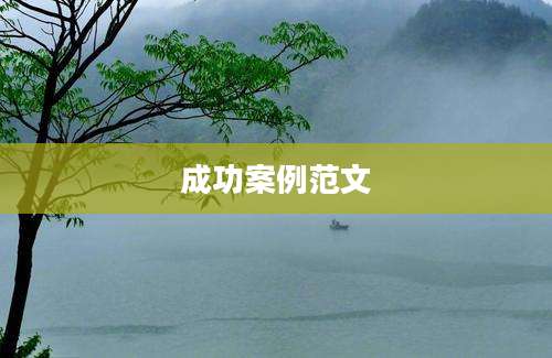 成功案例范文