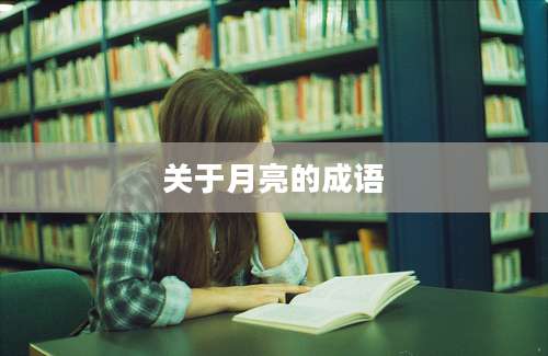 关于月亮的成语