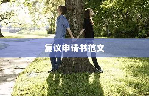 复议申请书范文
