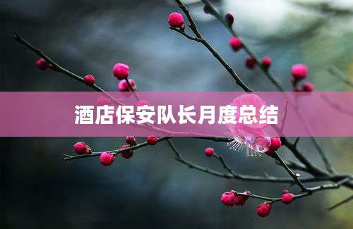 酒店保安队长月度总结
