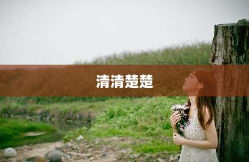 清清楚楚