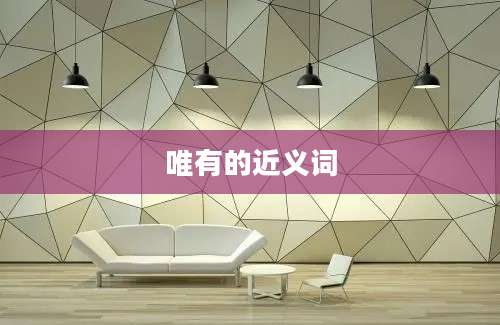 唯有的近义词