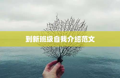 到新班级自我介绍范文