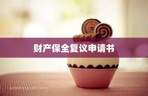 财产保全复议申请书