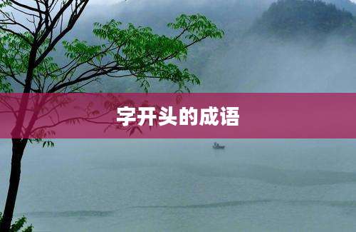 字开头的成语