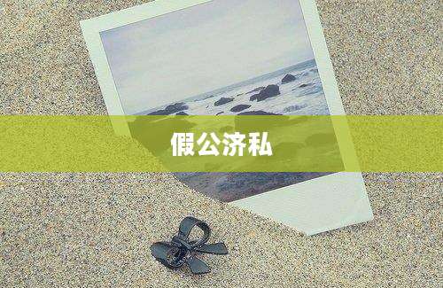 假公济私