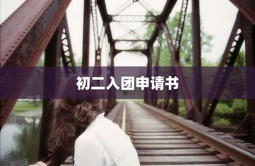 初二入团申请书