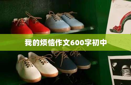 我的烦恼作文600字初中