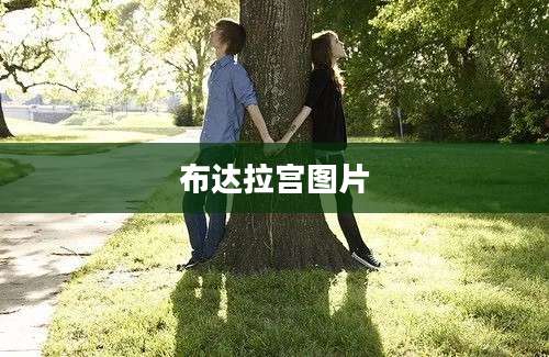 布达拉宫图片