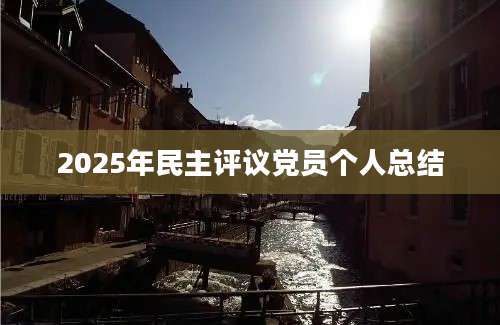 2025年民主评议党员个人总结