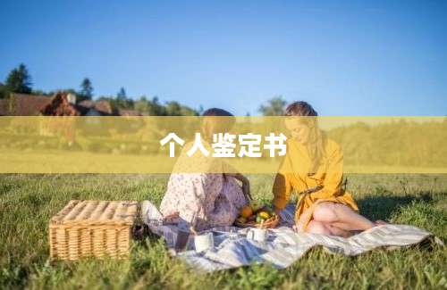 个人鉴定书