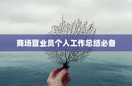商场营业员个人工作总结必备