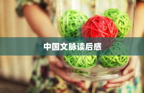 中国文脉读后感