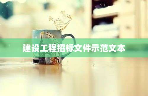 建设工程招标文件示范文本
