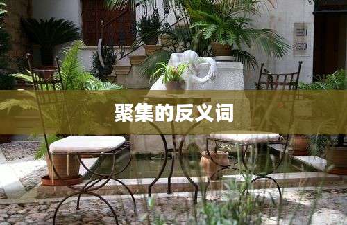 聚集的反义词
