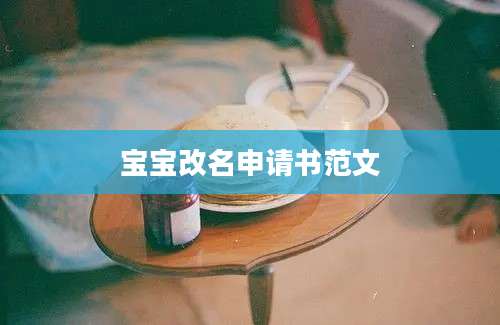 宝宝改名申请书范文