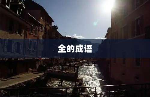 全的成语