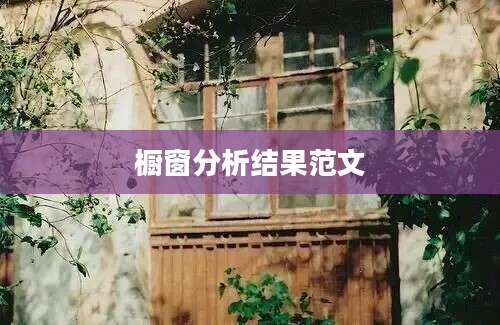 橱窗分析结果范文
